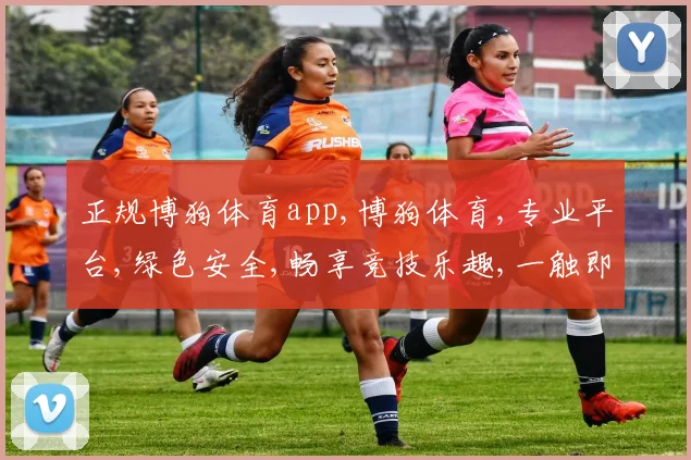 正规博狗体育app,博狗体育,专业平台,绿色安全,畅享竞技乐趣,一触即达