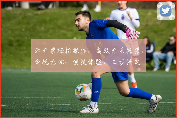云开票轻松操作，高效开具发票，合规无忧，便捷体验，三步搞定