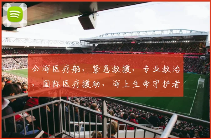 公海医疗船，紧急救援，专业救治，国际医疗援助，海上生命守护者