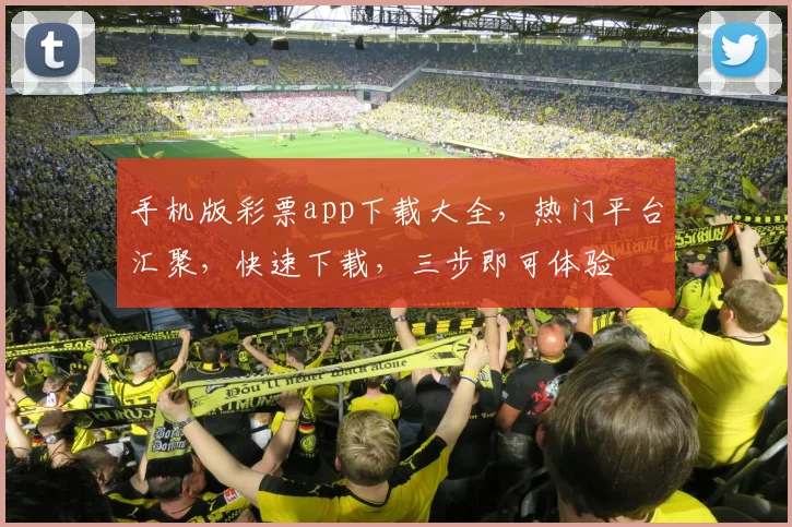 手机版彩票app下载大全，热门平台汇聚，快速下载，三步即可体验