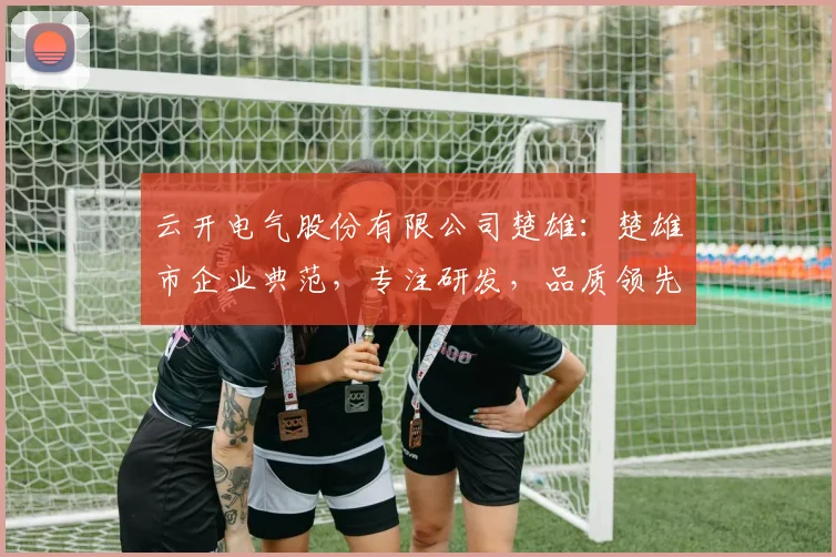 云开电气股份有限公司楚雄：楚雄市企业典范，专注研发，品质领先，服务至上，助力区域经济发展。
